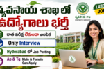 ICAR CRIDA Young Professional-I Recruitment 2026